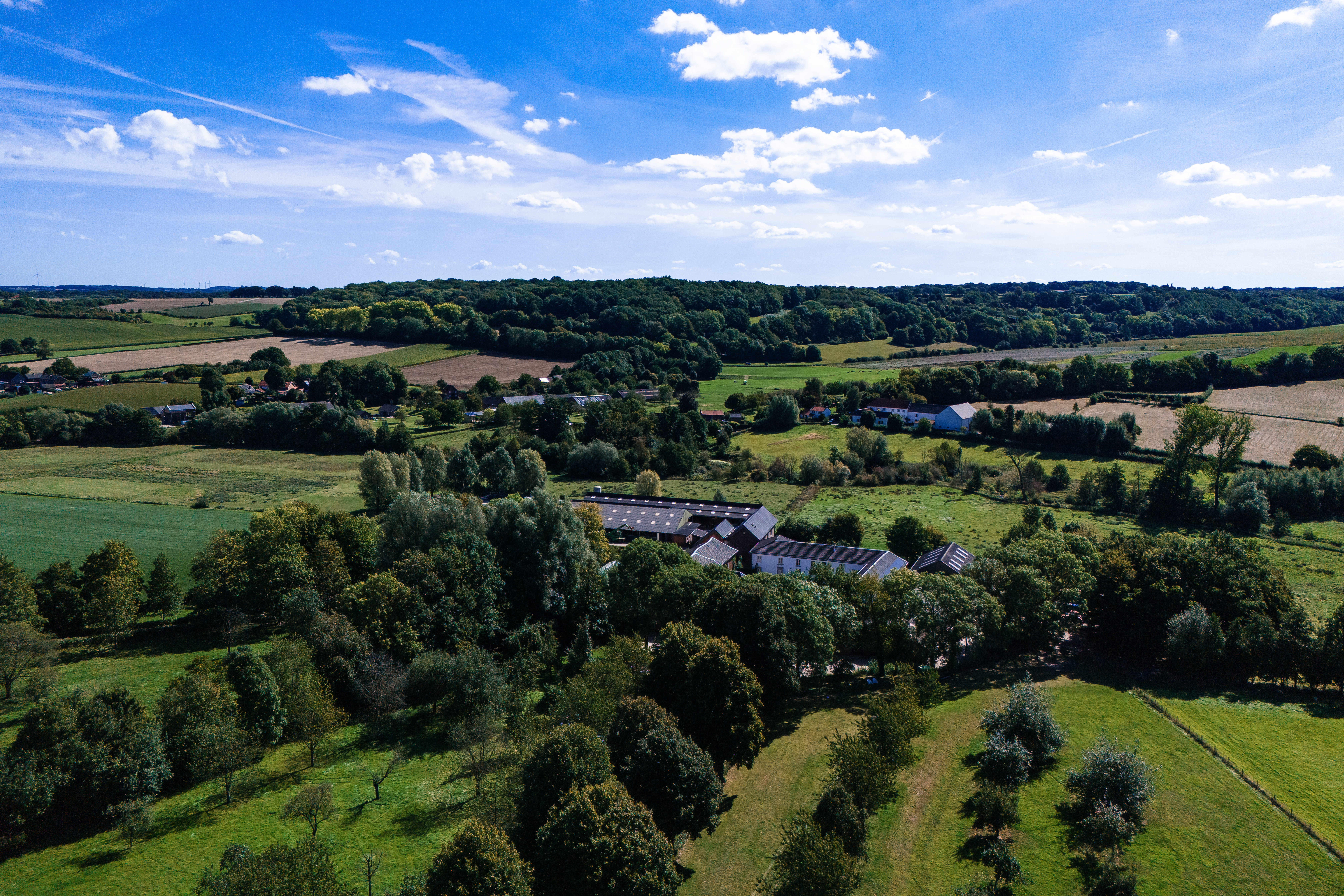 Uitzicht trouwen in het weiland in Limburg