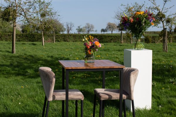 Tafel met stoelen in open weiland