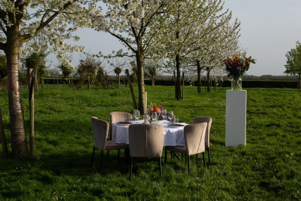Tafel voor bruiloft diner in open weiland